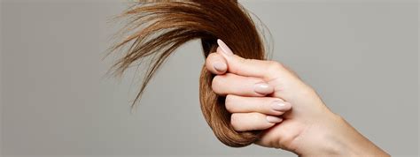 Kandungan omega 3, 6, 9, dan berbagai vitamin di dalamnya dapat menyuburkan rambut dengan sempurna. Cara Cepat Menumbuhkan Rambut Kemaluan - Berbagi Cara