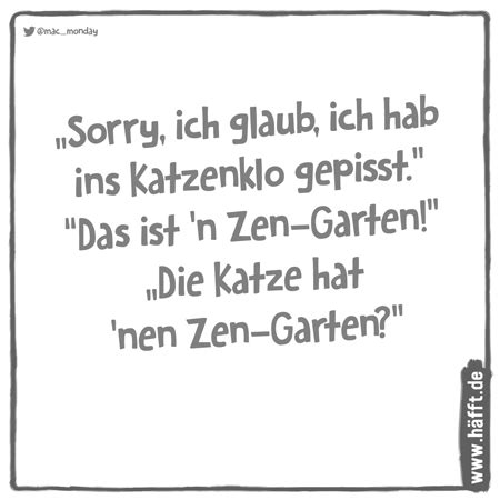 Tagtäglich schenken sie uns tolle momente voller lebensfreude. 8 Sprüche zum Weltkatzentag · Häfft.de