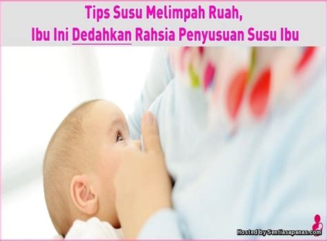 Makanan yang harus dimakan oleh ibu hamil ada banyak sekali, misalnya saja makanan yang mengandung asam folat, zat besi, seng, kalsium, vitamin dan lain sebagainya. 9 Makanan Tambah Susu Ibu Dengan Pantas - SentiasaPanas