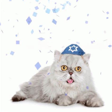 Search, discover and share your favorite purim gifs. Happy Purim GIFs | Tenor