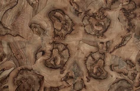 Cj burl wood curates an extensive custom collection of home decor and wood products that constantly evolves to fit our customers' needs. Walnut Burl Palladian ‪#‎parisceramics‬ ‪#‎surfaceologist ...