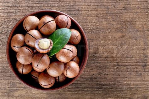 Shop with afterpay on eligible items. Australian macadamia nuts with leaf in ... | Stock image ...