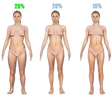 How much does 1 slice of pizza weigh? DON'T FREAK OUT: The truth about fat vs. muscle | Steven ...