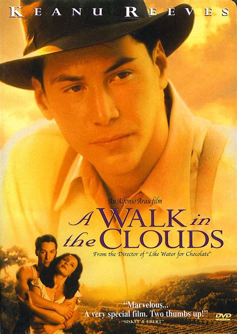 A walk in the clouds cabin. Summer Romance Rentals - Flick Minute Flick Minute