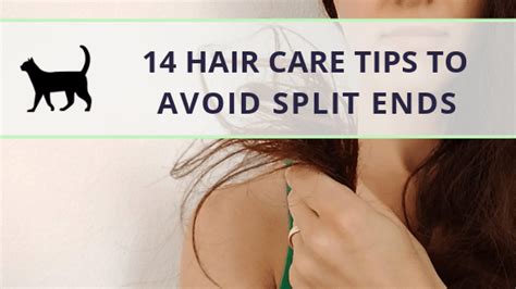 If you have curlier hair, you might have knotted split ends. The best hair care tips to avoid split ends