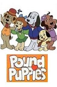 A page for describing characters: Picture of Pound Puppies