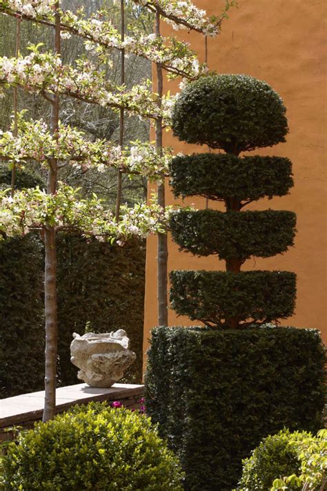 Hydroquinone is a chemical used for photo processing and hair dyes. Landscaping 101: Pleached Trees - Gardenista