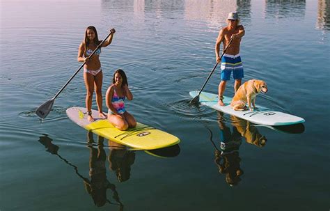 We did not find results for: Soft Top Paddle Boards Compared | StandUpPaddleBoardsReview
