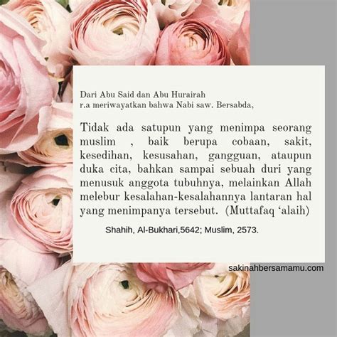W beloved selalu u pakde sabar, w om mislan u gondes, u gaa u jones, w jomb bahagia u dora, w spongebob u nora, w ngetop bhay. hadist tentang sabar, hadist tentang sabar dan memaafkan ...