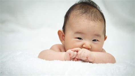 Menurut kitab gaul , dan kamu iya kamu , php itu mempunyai beberapa pengertian dan singkatan berdasarkan. 20 Nama Bayi Perempuan Bahasa Korea dengan Berbagai Makna ...