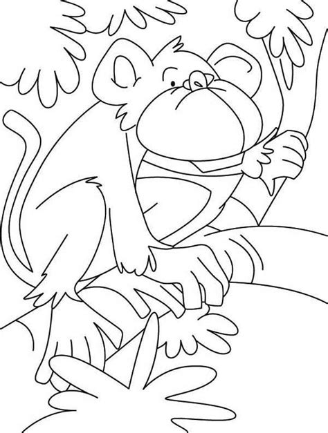 A cute monkey holding a banana, a coloring book. Banana Tree Coloring Page at GetColorings.com | Free ...