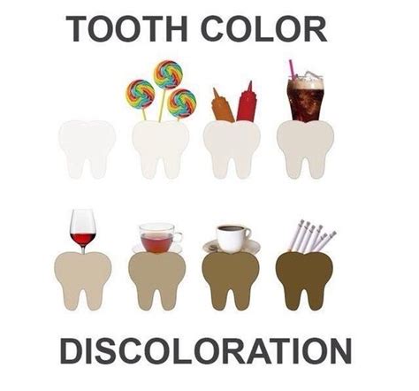 He found that black tea eroded teeth more rapidly than green tea. Does coffee stain your teeth? - Quora