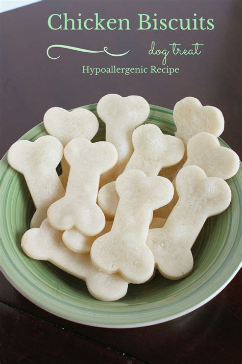 My dog has had food allergies forever! Homemade Hypoallergenic Dog Treats Recipe
