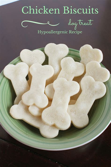 Never treat your dog with surprise meals at random. Homemade Hypoallergenic Dog Treats Recipe