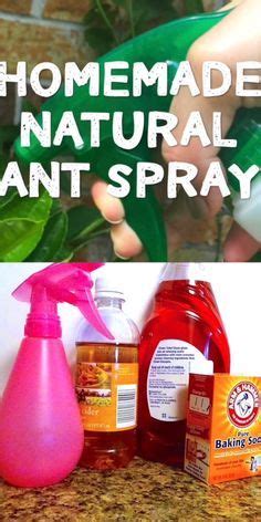 This ant killer lawn spray is an affordable approach; Pin on For the Home