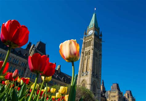 Ottawa in Full Bloom - The Canadian Tulip Festival - Canadian Traveller