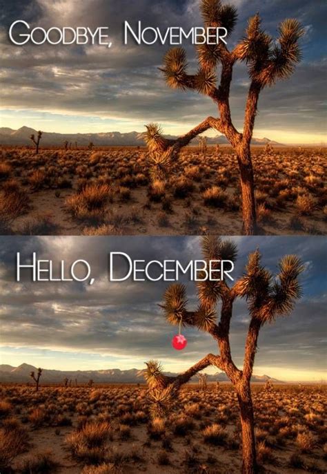 Air and water temperature, precipitation, air pressure and humidity, wind speed, magnetic field and uv index. 106 best images about Meanwhile in Arizona... on Pinterest ...