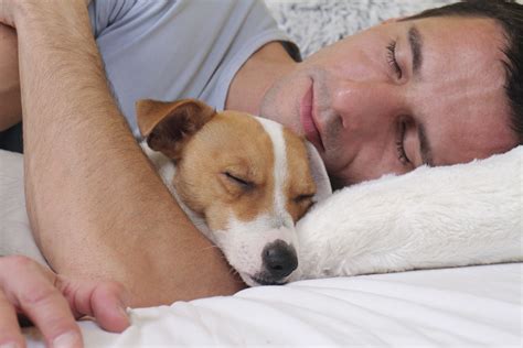 Now that you have a little insight into. Sleeping dog and owner. Man and dog sleeping together - De ...