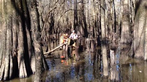 Fish and wildlife service, manages a national network of lands and waters set aside to conserve america's fish, wildlife, and plants. White River National Wildlife Refuge - YouTube