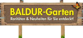 Das unternehmen baldur garten hat 514 veröffentlichte reklamationen auf reklamation24. Stauden, winterhart - online kaufen & bestellen bei BALDUR ...