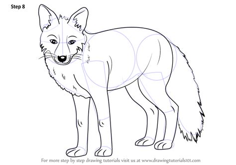 Draw a circle for the head. Learn How to Draw a Fox (Zoo Animals) Step by Step : Drawing Tutorials