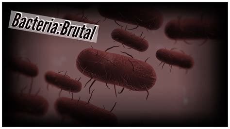 Plague inc bacteria mega brutal. 💖 Plague Inc:How To Beat Bacteria On Brutal! 💖 - YouTube