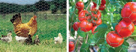 Angi matches you to experienced local fence pros in minutes. Poultry Netting - Not Just For Chickens | The Red Brand Post