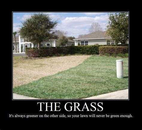 I looked at this crypto thing and i was like, man, sam, are you really sure that you should stick to this? Grass Demotivator by gamerchick1o1 on DeviantArt