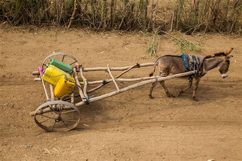 Welcome to google maps ethiopia locations list, welcome to the place where google maps sightseeing make sense! HALABA WOREDA, SNNPR - 24 JANUARY 2016 | Ethiopia is ...