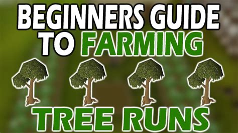 Tips on acquiring osrs pets. OSRS ULTIMATE Beginners TREE RUN GUIDE | Farming For ...