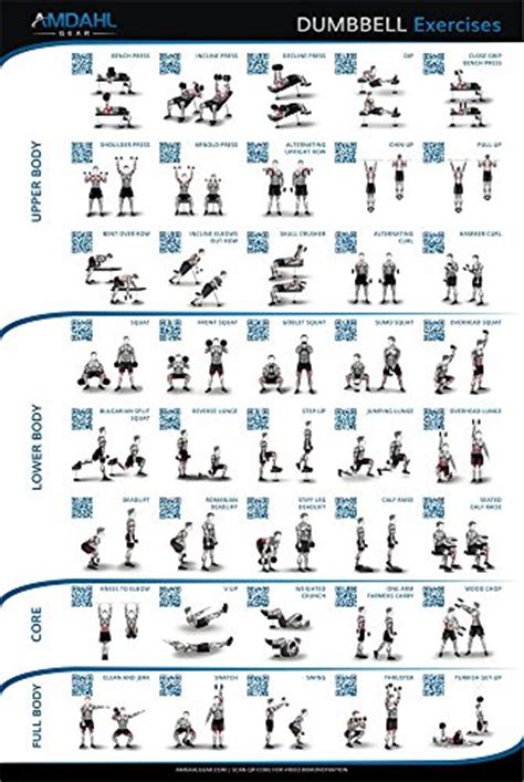 The muscular system consists of about 700 muscle organs that are typically attached to bones across a joint to produce all voluntary movements. The Best 53 Home Gym Posters to Motivate You