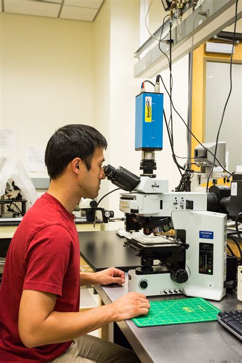 Scientific Image - Scientist using a Light Microscope ...