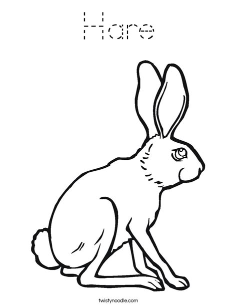 Link to more info about this animal (with labeled body diagram) Hare Coloring Page - Tracing - Twisty Noodle
