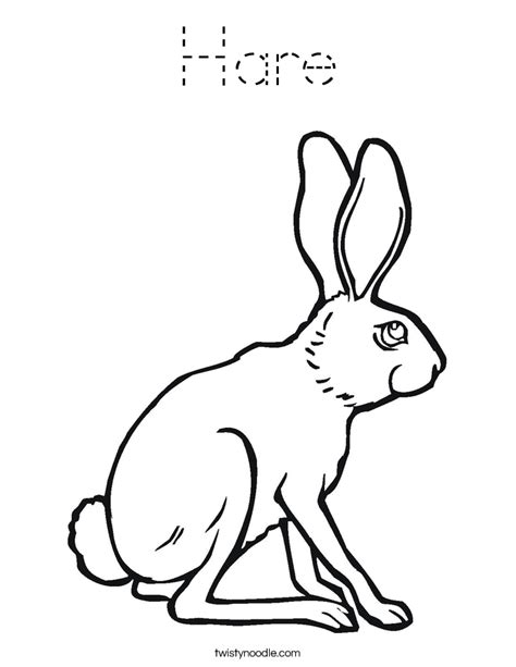Posted on august 24, 2019 by leave a comment. Hare Coloring Page - Tracing - Twisty Noodle