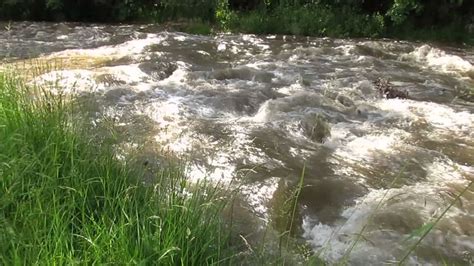 Der zweitgrößte fluss deutschlands ist die elbe. Fluss Urnäsch bei Urnäsch - YouTube