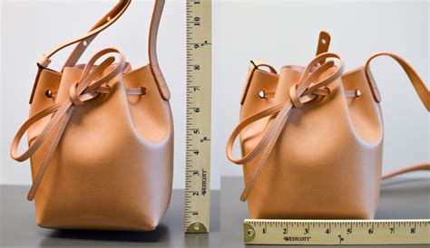 Mansur gavriel mini mini bucket bag biscotto. Mansur Gavriel Bucket Bag Review: Large vs. Mini vs. Mini ...