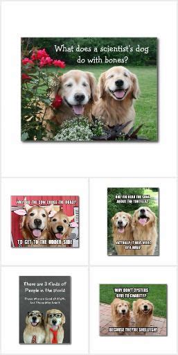 Definition of a meme / memetics. Golden Jokes and Memes | Dog jokes, Memes, Dogs golden ...