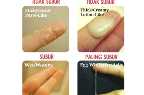 Mempunyai keluhan keputihan bercamput flek darah? Kenali Tanda-tanda Masa Subur Perempuan yang Memungkinkan ...