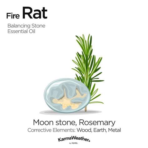 The other rat years are wood rat, fire rat, earth rat, then metal rat, and water rat. Rat Chinese zodiac, 1972, 1984, 1996, 2008 | Rats, Crystal ...