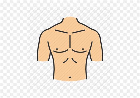 Related posts of anatomy of the chest area anatomy of male reproductive system. Abdomen Body Part Chest - Parts Of The Body Chest - Free ...