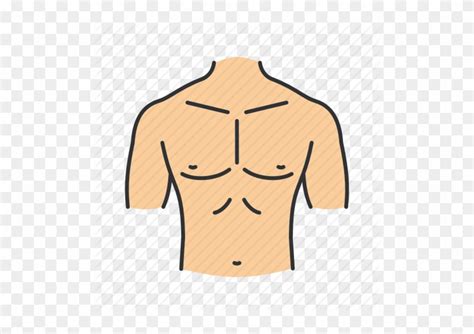 Related posts of anatomy of the chest area anatomy of male reproductive system. Abdomen Body Part Chest - Parts Of The Body Chest - Free ...
