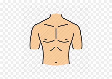 Body parts aroung the chest. Abdomen Body Part Chest - Parts Of The Body Chest - Free ...