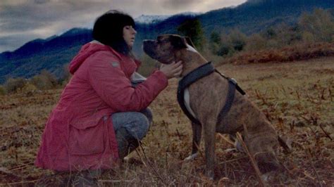 Le compagnon d'elisa pilarski, morte de morsures canines dans une forêt de l'aisne fin 2019 où elle promenait curtis, le chien de ce dernier, a été mis en examen jeudi pour homicide involontaire, a annoncé le parquet de soissons. Affaire Élisa Pilarski : une ancienne morsure met à ...