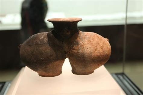 The national museum of african american history and culture is now open to the public. 西藏博物館 - 每日頭條