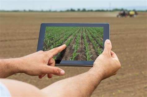 Online assistance for project execution (software installation. Agricultural Yield Prediction Using Deep Learning by RSIP ...