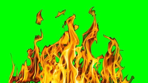 Updated today, june 2021 free fire win to claim gifts(pets, skins and free diamonds) click here to see the page. Copyright Free Fire Green Screen Effect | Chroma Key ...