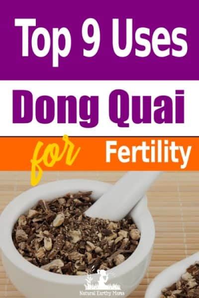 Moreover, it can help you to prevent the presence of irritation and infection in the body as well. Top 9 Benefits of Dong Quai for Fertility