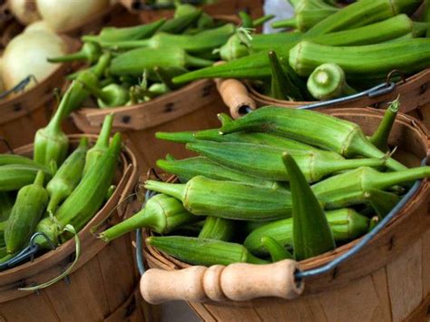 Top benefits of eating okra or gumbo pods. The Secret History of Okra - Okra Soup | Okra soup recipe ...