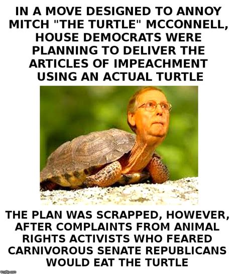 With tenor, maker of gif keyboard, add popular mitch mcconnell meme animated gifs to your conversations. Mcconnell Turtle Meme : The Fate Of Mitch Yertle The Turtle Mcconnell Imgflip / But he gets to ...