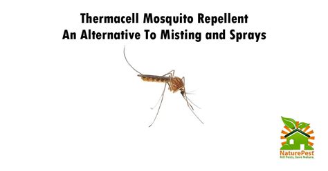 Search for gaps, cracks or holes near appliances, in and. Thermacell Mosquito Repellent An Alternative To Sprays